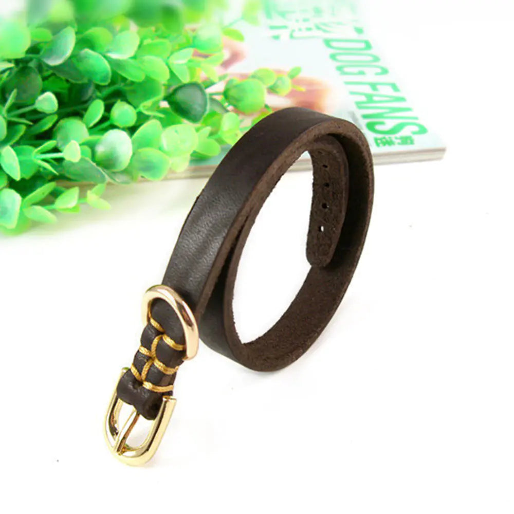 Adjustable Genuine Leather Dog Collar for Small Dogs