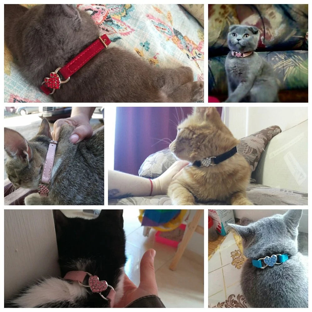 Leash Collars