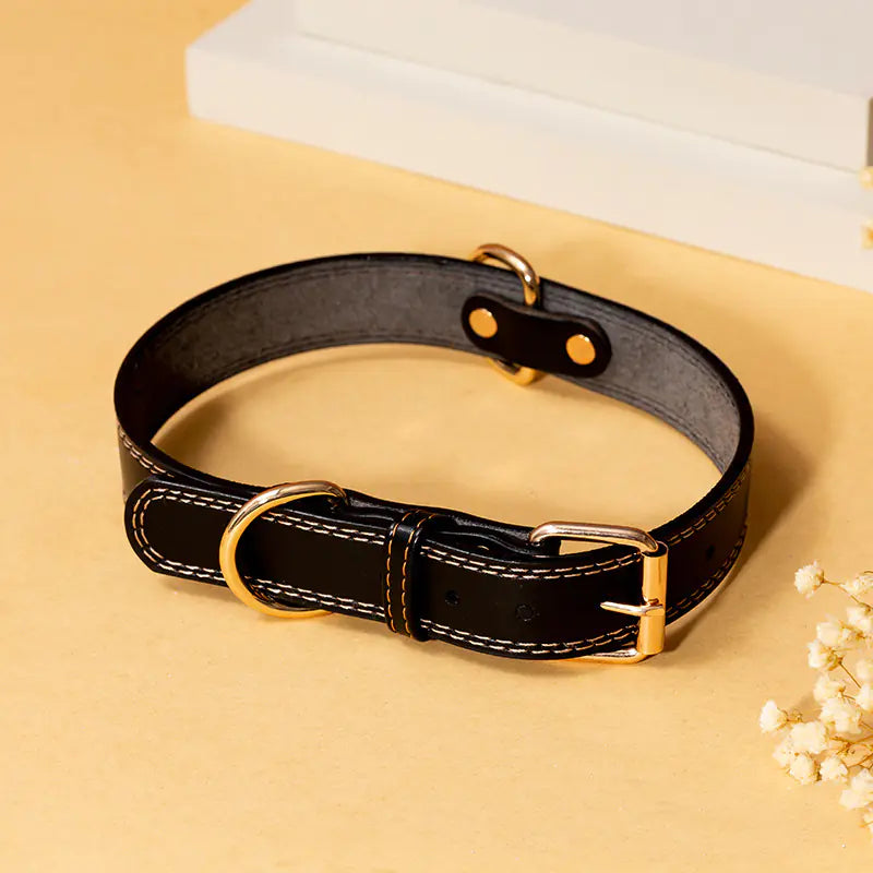 Adjustable Leather Dog Collar for Small to Large Breeds