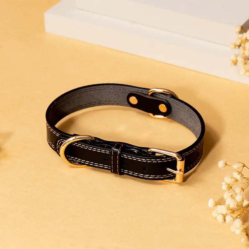 Adjustable Leather Dog Collar for Small to Large Breeds