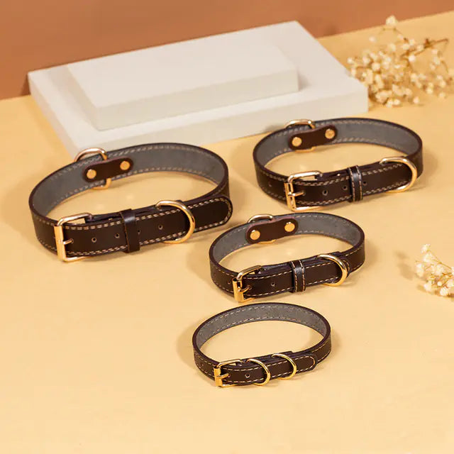Adjustable Leather Dog Collar for Small to Large Breeds