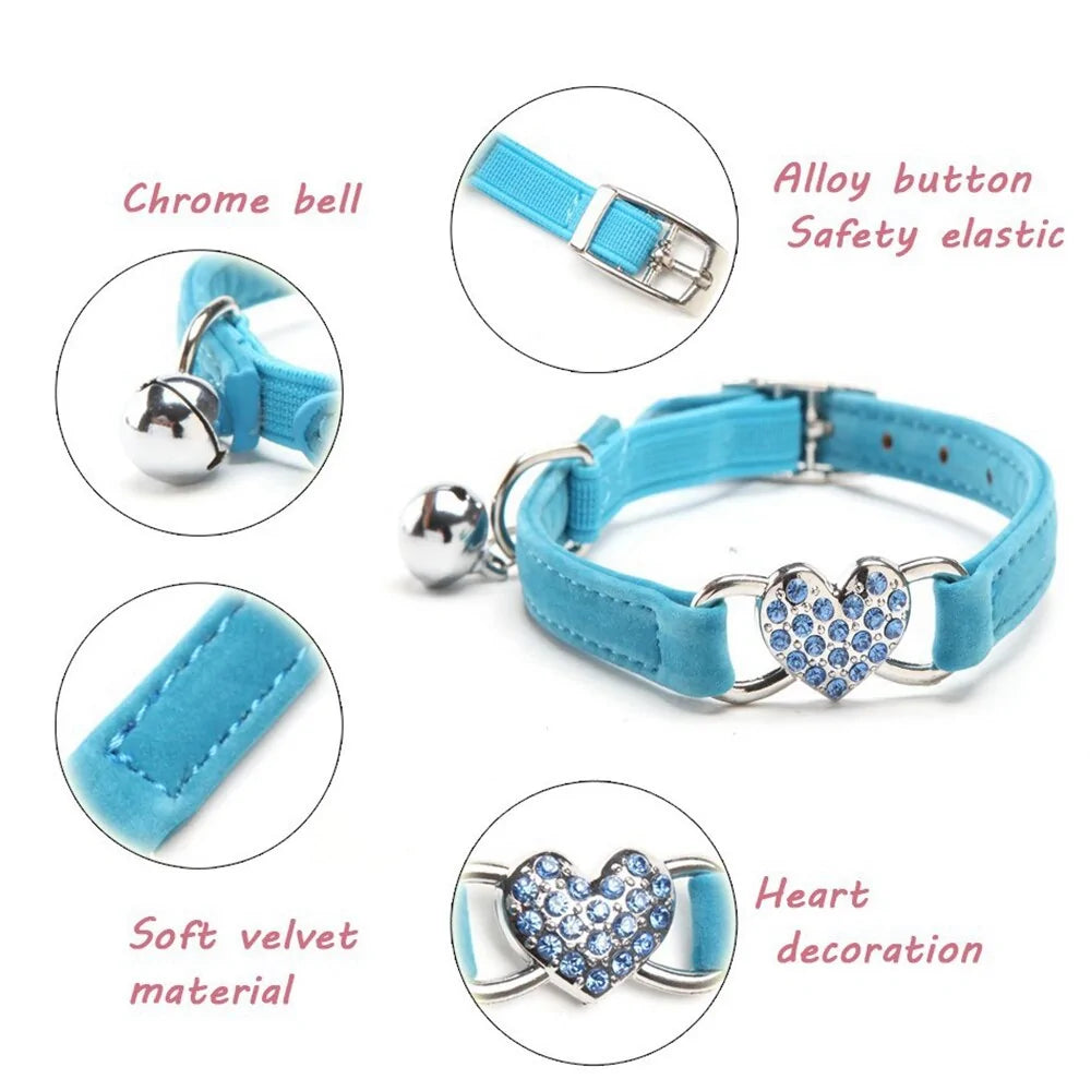 Leash Collars