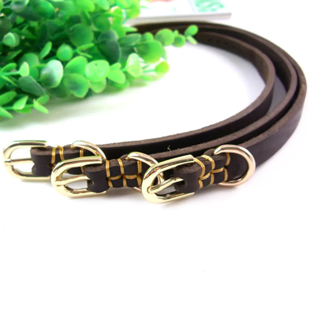 Adjustable Genuine Leather Dog Collar for Small Dogs