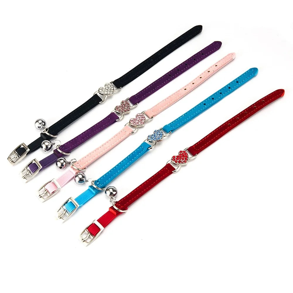 Leash Collars