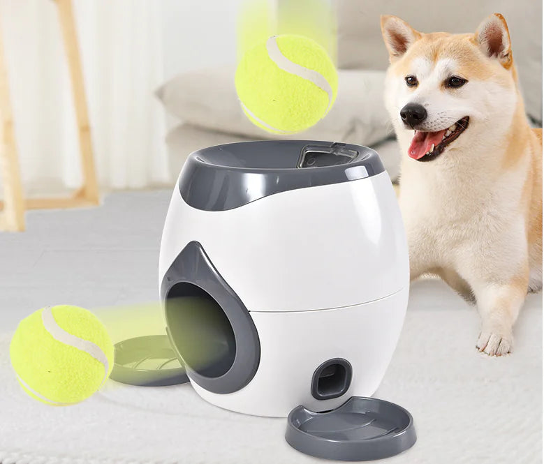 Treat and ball launcher