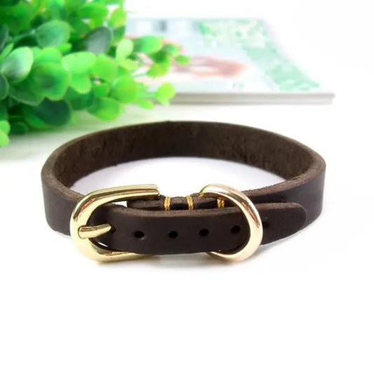 Adjustable Genuine Leather Dog Collar for Small Dogs