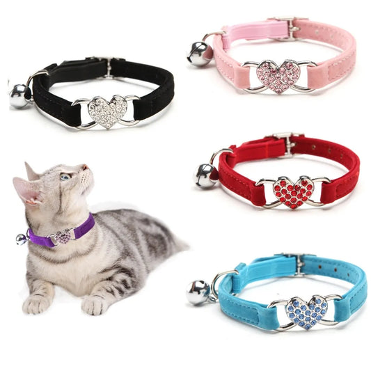 Leash Collars