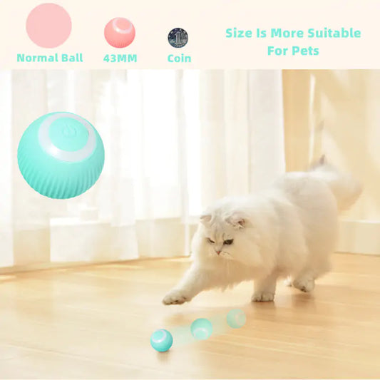 Smart Ball Toys