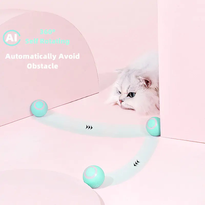 Smart Ball Toys