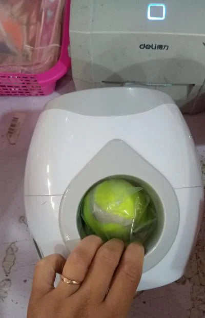 Treat and ball launcher