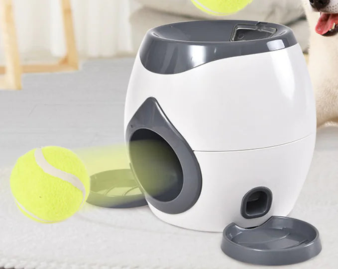 Treat and ball launcher
