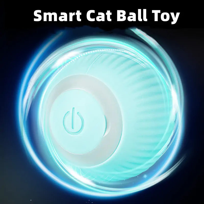 Smart Ball Toys