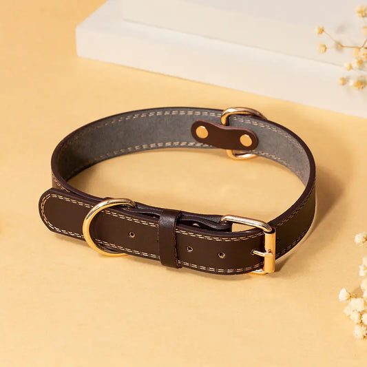 Adjustable Leather Dog Collar for Small to Large Breeds